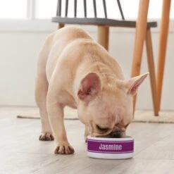 Frisco Preppy Stripes Ceramic Personalized Dog & Cat Bowl -Ultimate Pet Shop 250837 PT3. AC SS1800 V1610764911