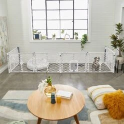 Frisco 6-Panel Plastic Exercise Dog Playpen, Light Gray -Ultimate Pet Shop 252045 PT6. AC SS1800 V1611090517