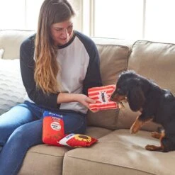 Frisco Baseball Snacks Dog Toy -Ultimate Pet Shop 252748 PT5. AC SS1800 V1615814544