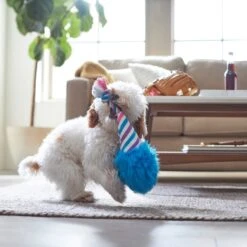 Frisco Baseball Cotton Candy Plush With Rope Squeaky Dog Toy 5 Frisco Baseball Cotton Candy Plush With Rope Squeaky Dog Toy -Ultimate Pet Shop 252750 PT5. AC SS1800 V1615814567