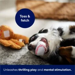 Frisco Baseball Mitt & Ball Interactive Plush Squeaky Dog Toy -Ultimate Pet Shop 252756 PT5. AC SS1800 V1686579205