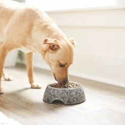 Frisco Black Marble Design Stainless Steel Dog & Cat Bowl -Ultimate Pet Shop 253048 PT2. AC SS1800 V1616526446