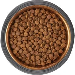 Frisco Matte Black Design Light Copper Stainless Steel Dog & Cat Bowl -Ultimate Pet Shop 253051 PT5. AC SS1800 V1616526794