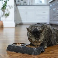 Frisco Copper Stainless Steel Double Dog & Cat Bowls With Black Marble Stand -Ultimate Pet Shop 253058 PT2. AC SS1800 V1616594213