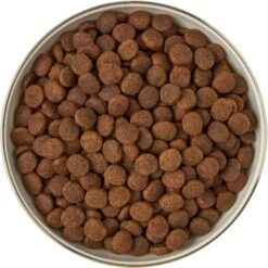 Frisco Gold Trim Melamine Dog & Cat Bowl -Ultimate Pet Shop 253062 PT5. AC SS1800 V1616595396