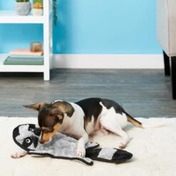 Frisco Alligator Stuffing-Free Flat Plush Squeaky Dog Toy & Frisco Raccoon Stuffing-Free Flat Plush Squeaky Dog Toy 9 Frisco Alligator Stuffing-Free Flat Plush Squeaky Dog Toy & Frisco Raccoon Stuffing-Free Flat Plush Squeaky Dog Toy -Ultimate Pet Shop 255471 PT4. AC SS1800 V1602691287