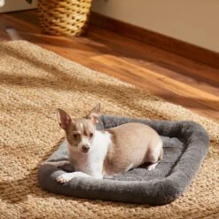 Frisco Fold & Carry Single Door Collapsible Wire Dog Crate & Frisco Quilted Plush Dog Crate Mat 9 Frisco Fold & Carry Single Door Collapsible Wire Dog Crate & Frisco Quilted Plush Dog Crate Mat -Ultimate Pet Shop 255501 PT4. AC SS1800 V1604097719