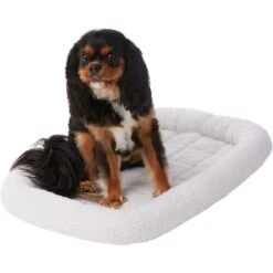 Frisco Heavy Duty Fold & Carry Single Door Collapsible Wire Dog Crate & Frisco Quilted Dog Crate Mat -Ultimate Pet Shop 255551 PT4. AC SS1800 V1604096523