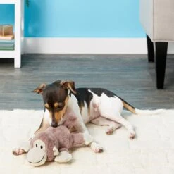 Frisco Monkey Plush Squeaky Dog Toy & Frisco Fox Plush Squeaky Dog Toy -Ultimate Pet Shop 255597 PT2. AC SS1800 V1602702685