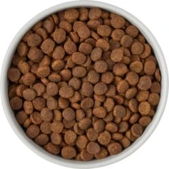 Frisco Ceramic Food Dog & Cat Bowl With Wood Base -Ultimate Pet Shop 256043 PT6. AC SS1800 V1615311151