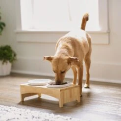 Frisco Ceramic Dog & Cat Double Diner With Elevated Wood Stand -Ultimate Pet Shop 256052 PT2. AC SS1800 V1615311142