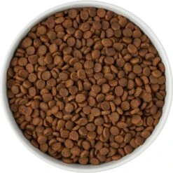 Frisco Paw Prints Non-skid Ceramic Bowl -Ultimate Pet Shop 256072 PT5. AC SS1800 V1615312318