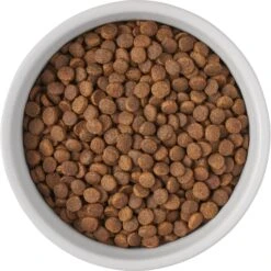 Frisco Bones Non-skid Ceramic Dog & Cat Bowl 11 Frisco Bones Non-skid Ceramic Dog & Cat Bowl -Ultimate Pet Shop 256074 PT5. AC SS1800 V1615312010