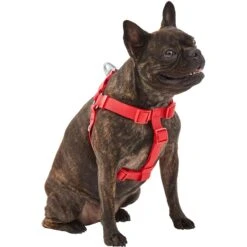 Frisco Outdoor Solid Textured Waterproof Stink Proof PVC Dog Harness -Ultimate Pet Shop 256518 PT2. AC SS1800 V1625164704