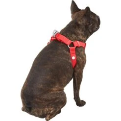Frisco Outdoor Solid Textured Waterproof Stink Proof PVC Dog Harness -Ultimate Pet Shop 256518 PT3. AC SS1800 V1625164999