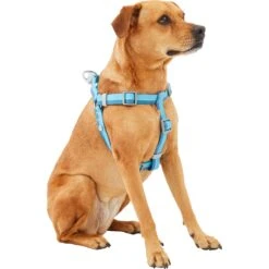 Frisco Outdoor Two Tone Waterproof Stinkproof PVC Dog Harness -Ultimate Pet Shop 256580 PT2. AC SS1800 V1625164701