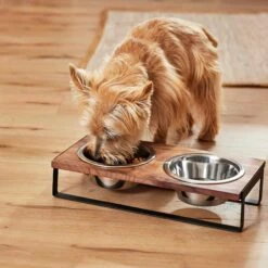 Frisco Wood Elevated Non-Skid Stainless Steel Double Diner Dog & Cat Bowl -Ultimate Pet Shop 257143 PT3. AC SS1800 V1615987292