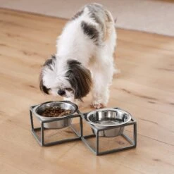 Frisco Elevated Diamond Stainless Steel Double Diner Dog & Cat Bowl -Ultimate Pet Shop 257147 PT8. AC SS1800 V1615840442