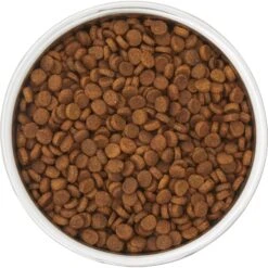 Frisco Insulated Two-Toned Non-Skid Stainless Steel Dog & Cat Bowl -Ultimate Pet Shop 257168 PT4. AC SS1800 V1612367255