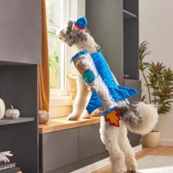 Frisco Rocket Ship Dog & Cat Costume -Ultimate Pet Shop 260904 PT8. AC SS1800 V1624400386