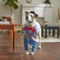 Frisco Front Walking French Artist Dog & Cat Costume 15 Frisco Front Walking French Artist Dog & Cat Costume -Ultimate Pet Shop 260956 PT8. AC SS1800 V1689623916