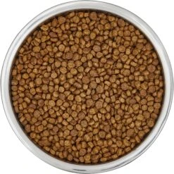 Frisco Insulated Non-Skid Flair Stainless Steel Dog & Cat Bowl -Ultimate Pet Shop 261753 PT4. AC SS1800 V1623937583