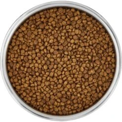 Frisco Insulated Non-Skid Stainless Steel Dog & Cat Bowl -Ultimate Pet Shop 261757 PT4. AC SS1800 V1623937392