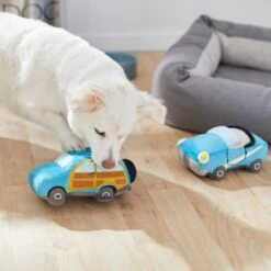 Frisco Road Trip Cruisers Plush Squeaky Dog Toy, 2 Count -Ultimate Pet Shop 261982 PT3. AC SS1800 V1618598560