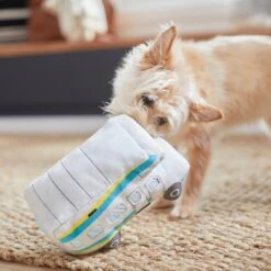 Frisco Road Trip Camper Van Plush Squeaky Dog Toy -Ultimate Pet Shop 261984 PT3. AC SS1800 V1618598313