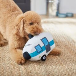 Frisco Road Trip Happy Camper Plush Squeaky Dog Toy -Ultimate Pet Shop 261991 PT3. AC SS1800 V1618598545