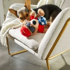 Frisco Road Trip Tourist Bear Plush Squeaky Dog Toy -Ultimate Pet Shop 261995 PT3. AC SS1800 V1618598730