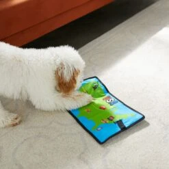 Frisco Road Trip Foldable Map Flat Plush Squeaky Dog Toy -Ultimate Pet Shop 261998 PT4. AC SS1800 V1619791937