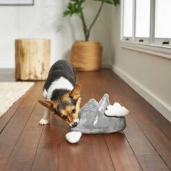 Frisco Road Trip Mountain Range Plush Squeaky Dog Toy -Ultimate Pet Shop 262003 PT3. AC SS1800 V1618598606