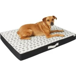 Frisco Indoor/Outdoor Arrow Print Pillow Dog Bed W/Removable Cover -Ultimate Pet Shop 262153 PT2. AC SS1800 V1619534330