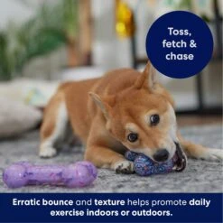 Frisco Birthday TPR Fetch Bone Squeaky Dog Toy 10 Frisco Birthday TPR Fetch Bone Squeaky Dog Toy -Ultimate Pet Shop 264422 PT4. AC SS1800 V1695760988