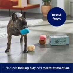 Frisco Macaron Interactive Plush Squeaky Dog Toy -Ultimate Pet Shop 264438 PT5. AC SS1800 V1686579089