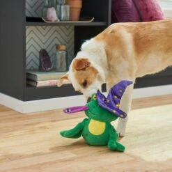 Frisco Magic Wizard Frog Plush Squeaky Dog Toy -Ultimate Pet Shop 265588 PT3. AC SS1800 V1620939075