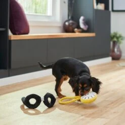 Frisco Magic Pocket Watch & Glasses Plush Squeaky Dog Toy, 2 Count -Ultimate Pet Shop 265590 PT3. AC SS1800 V1620938935