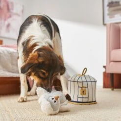 Frisco Magic Owl & Cage 2-in-1 Plush Squeaky Dog Toy -Ultimate Pet Shop 265592 PT3. AC SS1800 V1620938916
