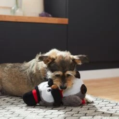 Frisco Magic Owl Plush Squeaky Dog Toy -Ultimate Pet Shop 265596 PT3. AC SS1800 V1623352167