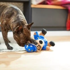 Frisco Magic Wizard Bear Plush Squeaky Dog Toy -Ultimate Pet Shop 265604 PT3. AC SS1800 V1623352109