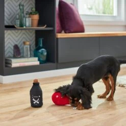 Frisco Magic Potions Plush Squeaky Dog Toy -Ultimate Pet Shop 265618 PT3. AC SS1800 V1620939183