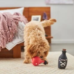 Frisco Magic Potions Latex Squeaky Dog Toy, 2 Count -Ultimate Pet Shop 265632 PT3. AC SS1800 V1620939021