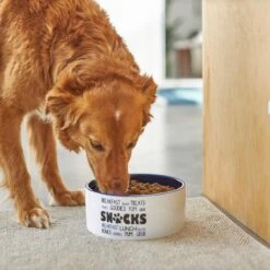 Frisco Food & Paw Non-skid Ceramic Dog Bowl -Ultimate Pet Shop 270195 PT2. AC SS1800 V1620762027