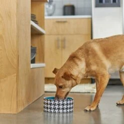Frisco Houndstooth Non-skid Ceramic Dog Bowl 8 Frisco Houndstooth Non-skid Ceramic Dog Bowl -Ultimate Pet Shop 270200 PT2. AC SS1800 V1620762251
