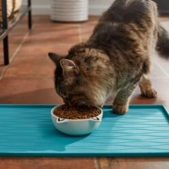 Frisco Cat Face Non-skid Ceramic Cat Bowl, White -Ultimate Pet Shop 270229 PT3. AC SS1800 V1620762318
