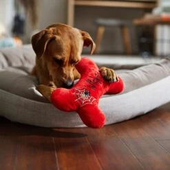 Frisco Halloween Wicked Cute Bone Reversible Plush Squeaky Dog Toy 9 Frisco Halloween Wicked Cute Bone Reversible Plush Squeaky Dog Toy -Ultimate Pet Shop 270357 PT3. AC SS1800 V1624817551