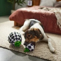 Frisco Halloween Fancy Pumpkin 2-in-1 Plush Squeaky Dog Toy -Ultimate Pet Shop 270359 PT3. AC SS1800 V1624817665