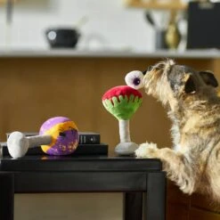 Frisco Halloween Cocktail Plush Squeaky Dog Toy -Ultimate Pet Shop 270361 PT3. AC SS1800 V1624817495