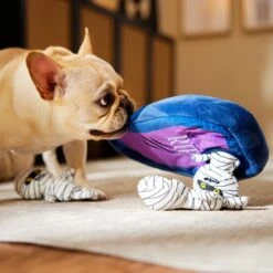 Frisco Halloween Mummy & Coffin Hide & Seek Puzzle Plush Squeaky Dog Toy -Ultimate Pet Shop 270365 PT3. AC SS1800 V1624817620